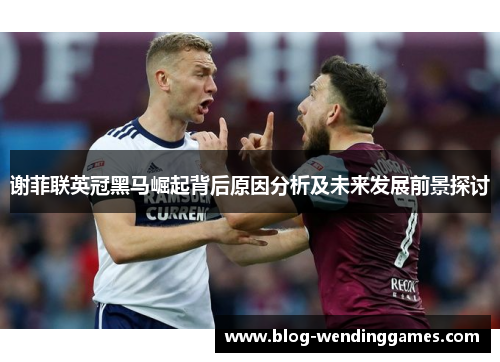 谢菲联英冠黑马崛起背后原因分析及未来发展前景探讨