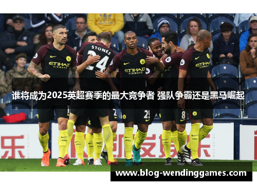 谁将成为2025英超赛季的最大竞争者 强队争霸还是黑马崛起
